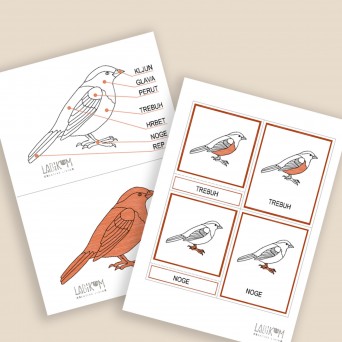 Ptiček, to sem jaz!